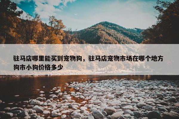 驻马店哪里能买到宠物狗，驻马店宠物市场在哪个地方 狗市小狗价格多少