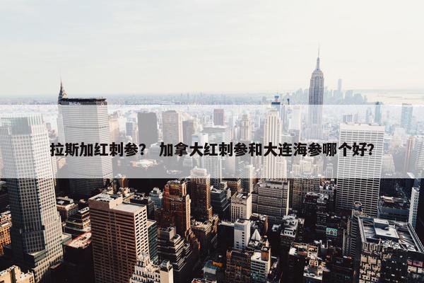 拉斯加红刺参？ 加拿大红刺参和大连海参哪个好？