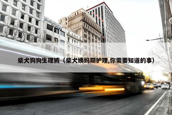 柴犬狗狗生理裤（柴犬姨妈期护理,你需要知道的事）