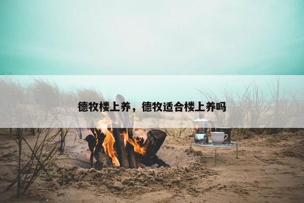 德牧楼上养，德牧适合楼上养吗