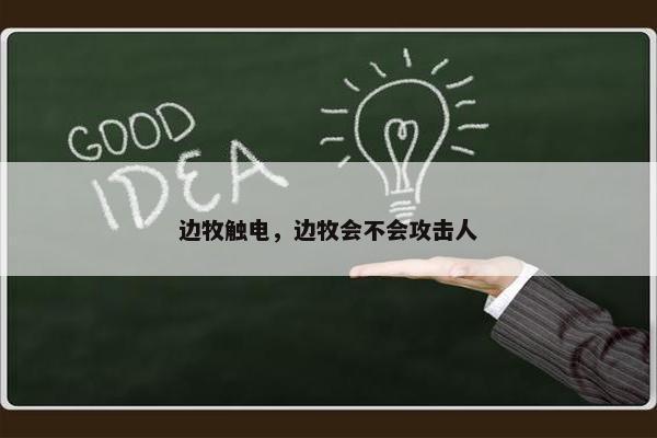 边牧触电，边牧会不会攻击人