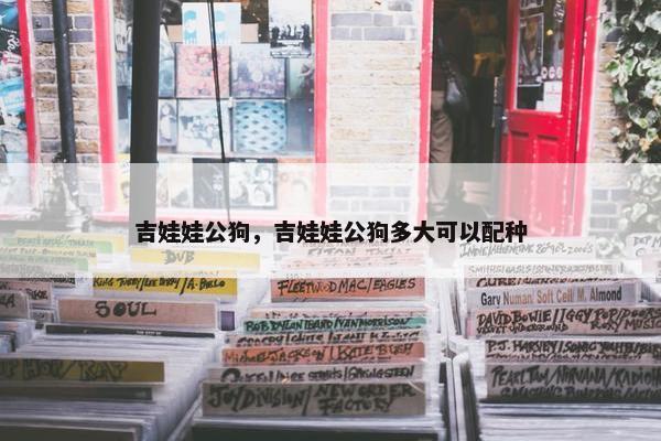 吉娃娃公狗，吉娃娃公狗多大可以配种