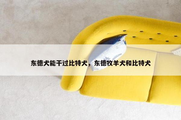 东德犬能干过比特犬，东德牧羊犬和比特犬