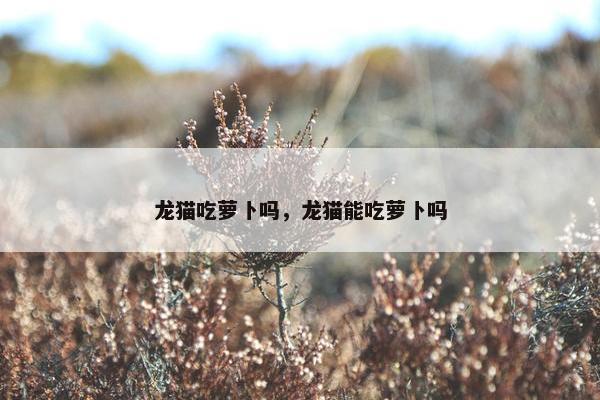 龙猫吃萝卜吗，龙猫能吃萝卜吗