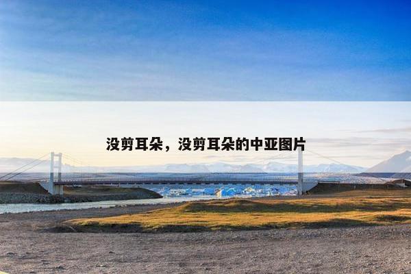 没剪耳朵，没剪耳朵的中亚图片