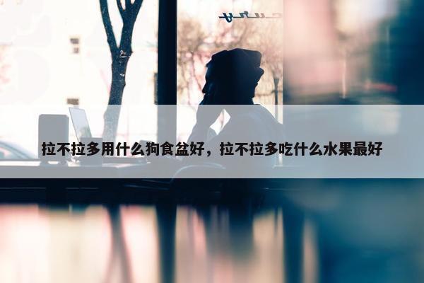 拉不拉多用什么狗食盆好，拉不拉多吃什么水果最好