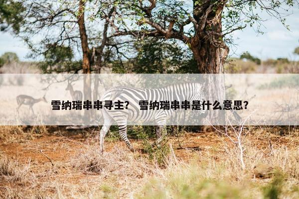 雪纳瑞串串寻主？ 雪纳瑞串串是什么意思？