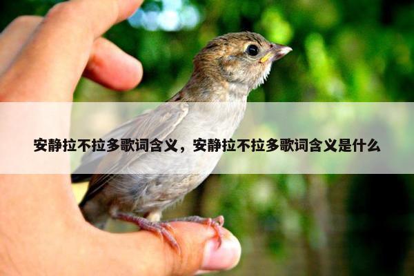 安静拉不拉多歌词含义，安静拉不拉多歌词含义是什么