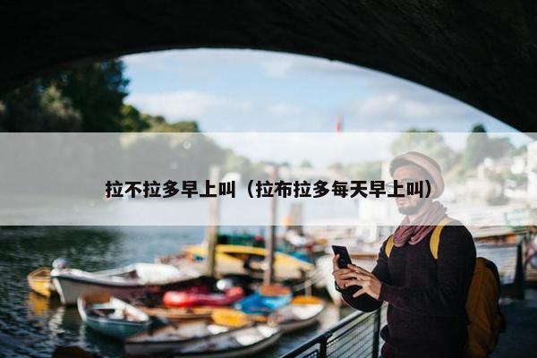 拉不拉多早上叫（拉布拉多每天早上叫）