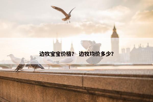 边牧宝宝价格？ 边牧均价多少？