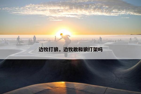 边牧打狼，边牧敢和狼打架吗