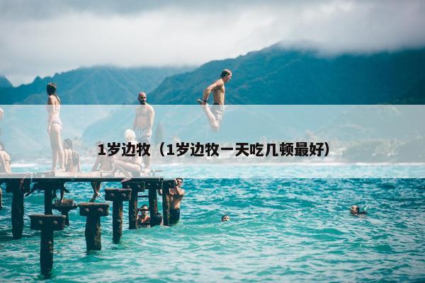 1岁边牧（1岁边牧一天吃几顿最好）