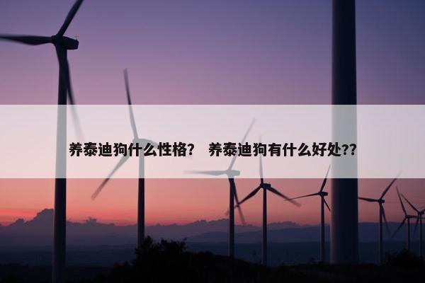 养泰迪狗什么性格？ 养泰迪狗有什么好处?？