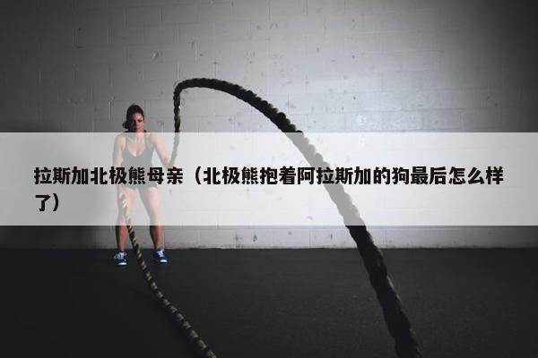 拉斯加北极熊母亲（北极熊抱着阿拉斯加的狗最后怎么样了）