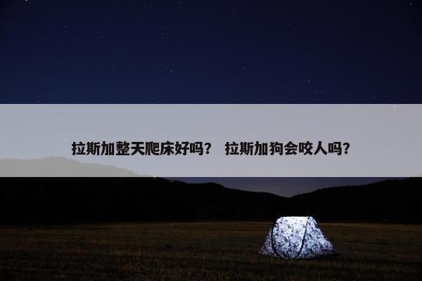 拉斯加整天爬床好吗？ 拉斯加狗会咬人吗？