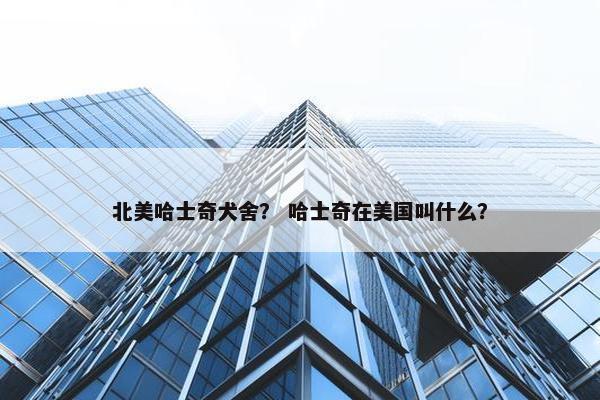 北美哈士奇犬舍？ 哈士奇在美国叫什么？