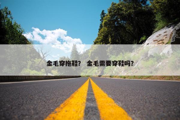 金毛穿拖鞋？ 金毛需要穿鞋吗？