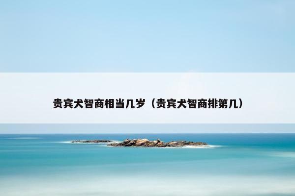 贵宾犬智商相当几岁（贵宾犬智商排第几）
