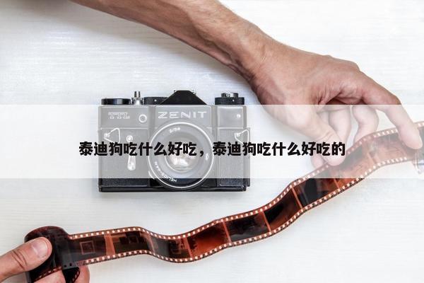 泰迪狗吃什么好吃，泰迪狗吃什么好吃的