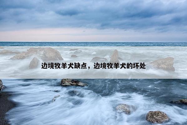 边境牧羊犬缺点，边境牧羊犬的坏处
