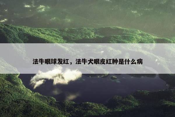 法牛眼球发红，法牛犬眼皮红肿是什么病