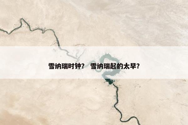 雪纳瑞时钟？ 雪纳瑞起的太早？