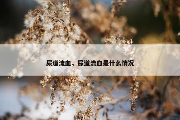 尿道流血，尿道流血是什么情况