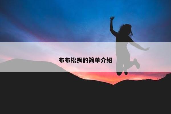 布布松狮的简单介绍