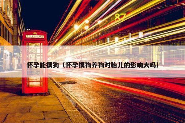 怀孕能摸狗（怀孕摸狗养狗对胎儿的影响大吗）