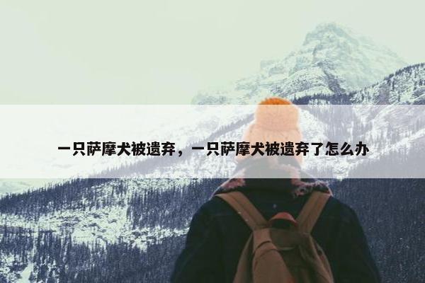 一只萨摩犬被遗弃，一只萨摩犬被遗弃了怎么办