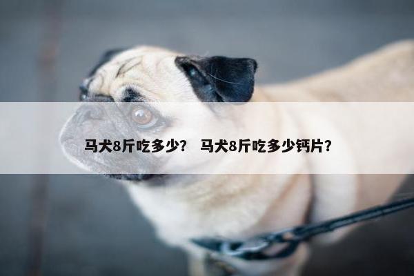 马犬8斤吃多少？ 马犬8斤吃多少钙片？
