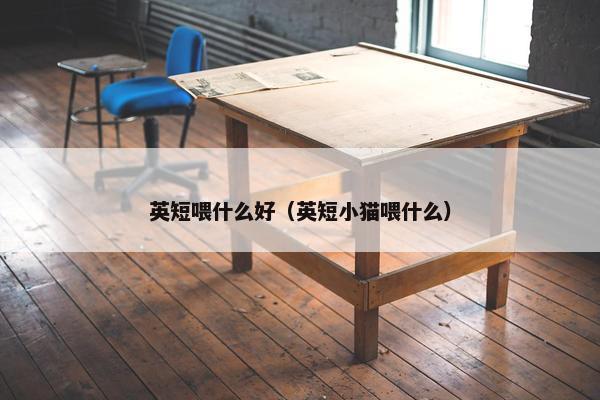 英短喂什么好（英短小猫喂什么）