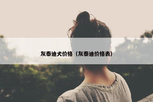 灰泰迪犬价格（灰泰迪价格表）