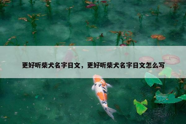 更好听柴犬名字日文，更好听柴犬名字日文怎么写