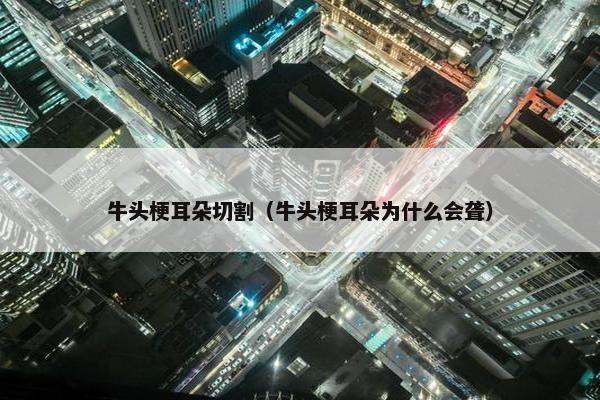 牛头梗耳朵切割（牛头梗耳朵为什么会聋）