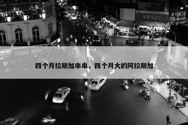 四个月拉斯加串串，四个月大的阿拉斯加