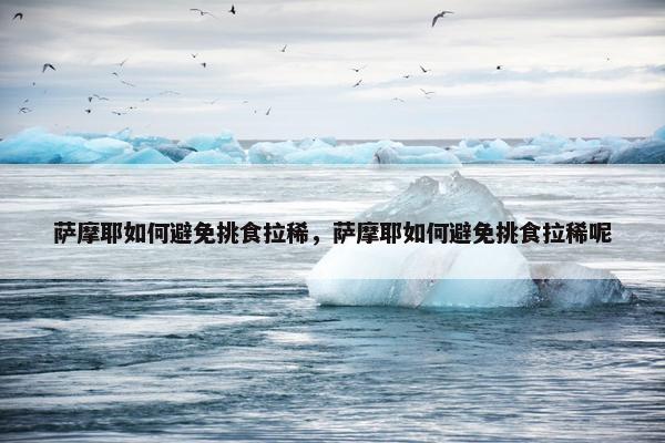 萨摩耶如何避免挑食拉稀，萨摩耶如何避免挑食拉稀呢