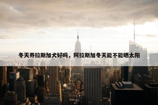 冬天养拉斯加犬好吗，阿拉斯加冬天能不能晒太阳