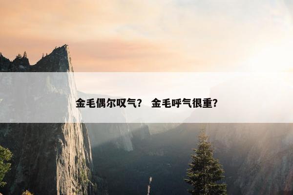 金毛偶尔叹气？ 金毛呼气很重？