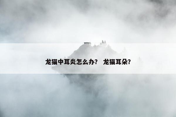 龙猫中耳炎怎么办？ 龙猫耳朵？
