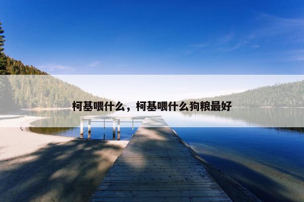 柯基喂什么，柯基喂什么狗粮最好