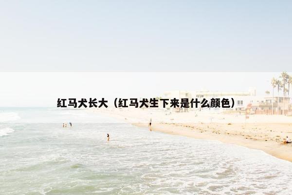 红马犬长大（红马犬生下来是什么颜色）