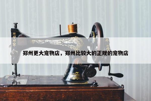 郑州更大宠物店，郑州比较大的正规的宠物店