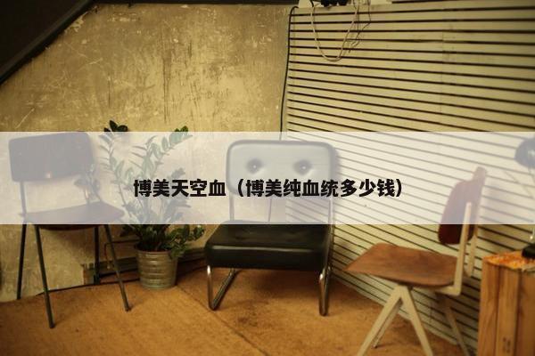 博美天空血（博美纯血统多少钱）