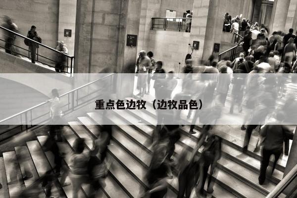 重点色边牧（边牧品色）