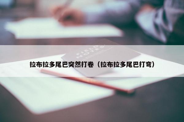 拉布拉多尾巴突然打卷（拉布拉多尾巴打弯）