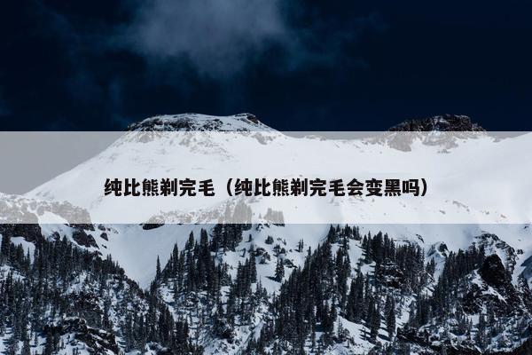 纯比熊剃完毛（纯比熊剃完毛会变黑吗）