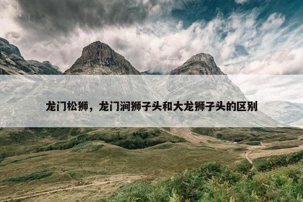龙门松狮，龙门涧狮子头和大龙狮子头的区别