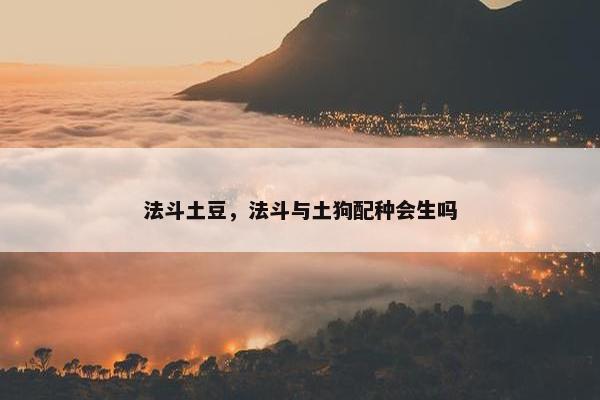 法斗土豆，法斗与土狗配种会生吗