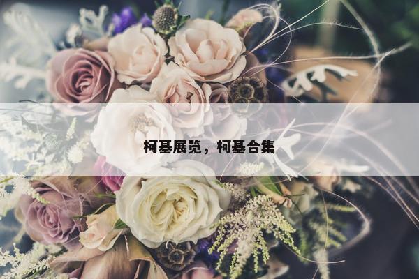 柯基展览，柯基合集
